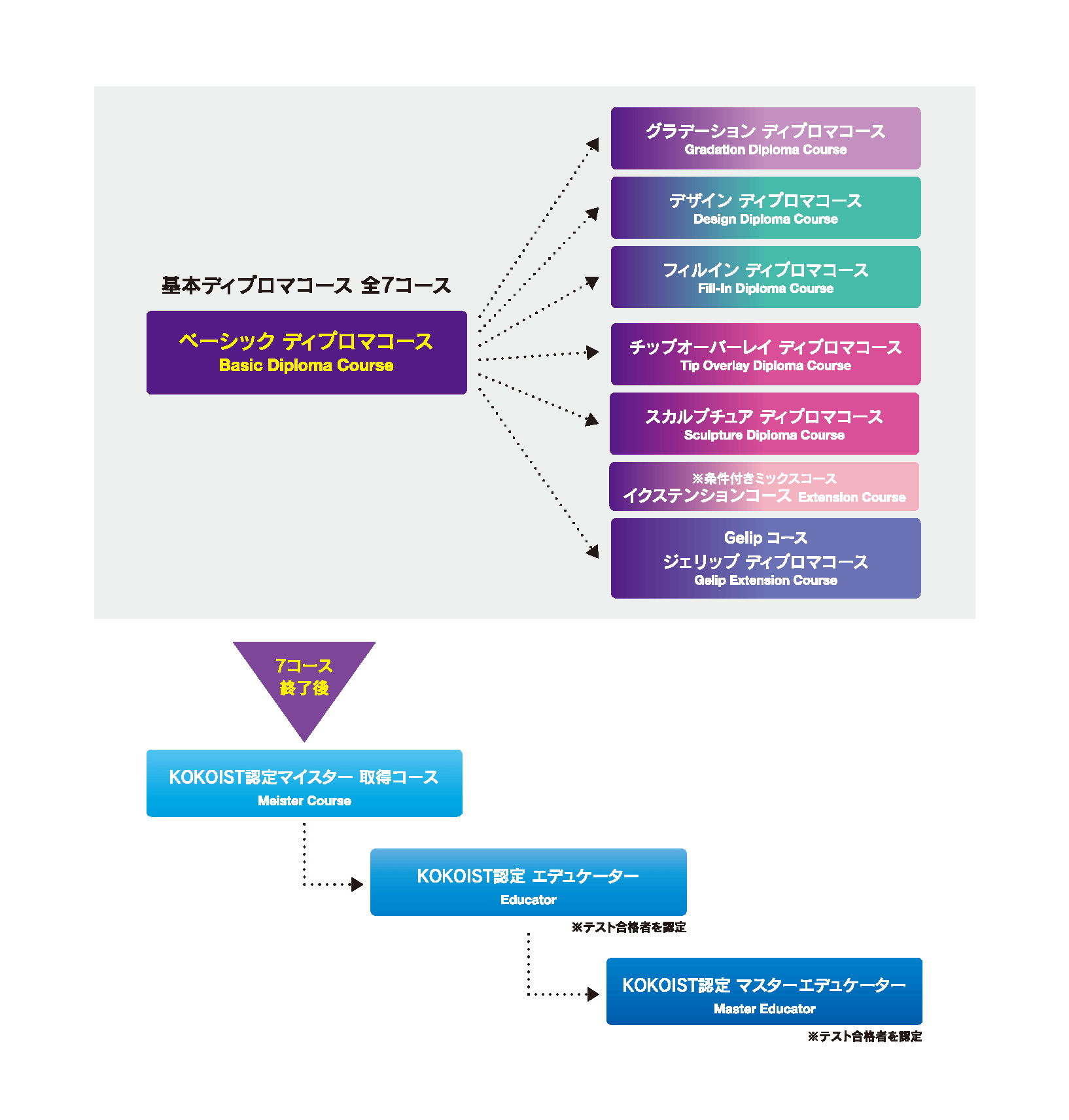 エデュケーションシステムについて Jna検定対応 業務用ジェルネイル Kokoist ココイスト